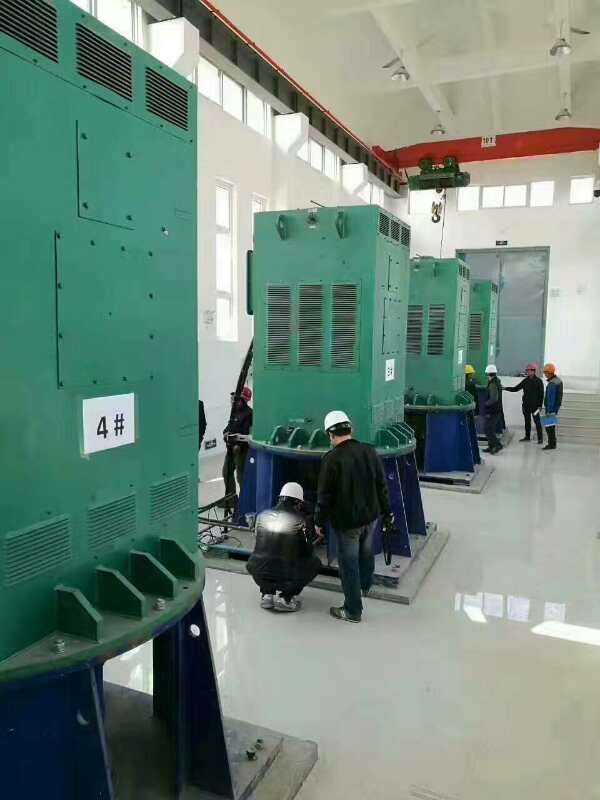 YR4001-6某污水处理厂使用我厂的立式高压电机安装现场