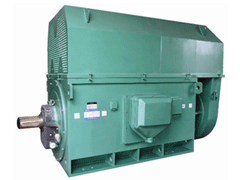 YR4001-6Y系列6KV高压电机